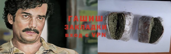 гашик Алексеевка